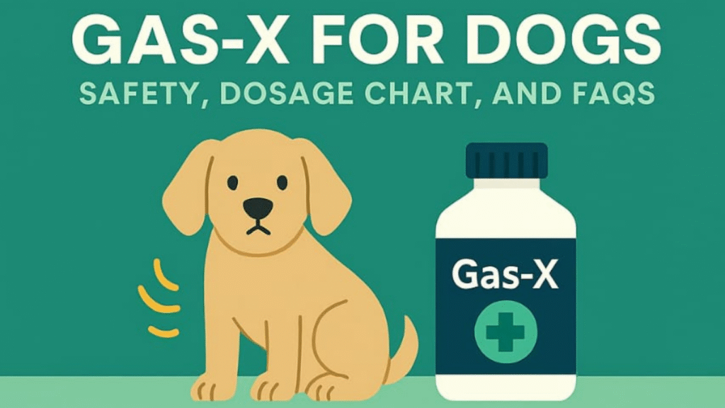 gas-x for dogs